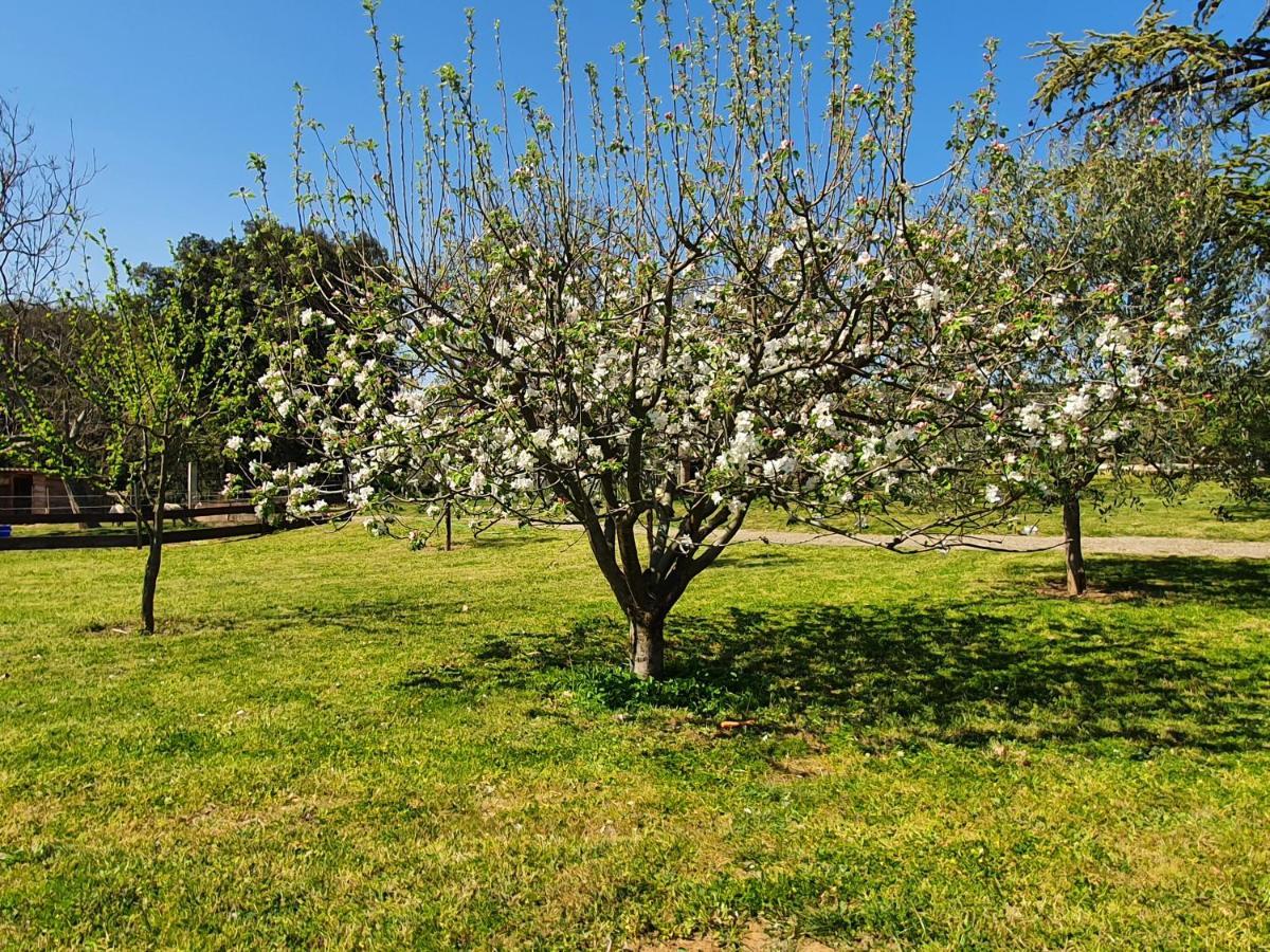 Saint-Julien-de-Peyrolas Mas Des Gardies المظهر الخارجي الصورة